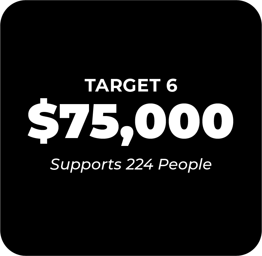 Target 6 for Fundraising